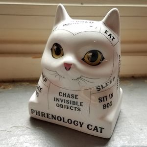 Phrenology Cat Statue